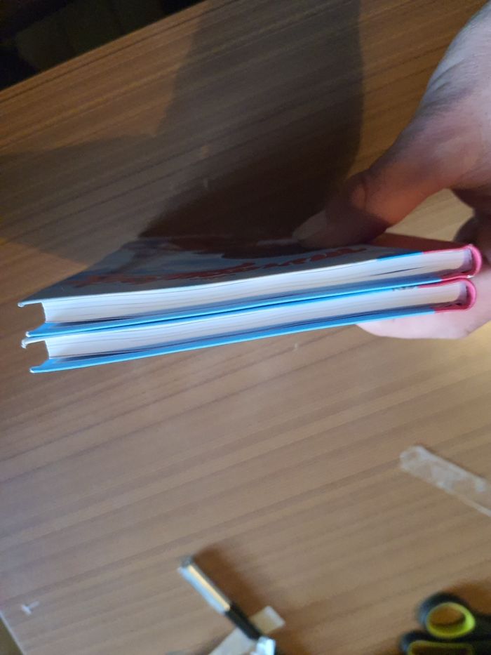 Lot de 2 livre miraculous - photo numéro 5