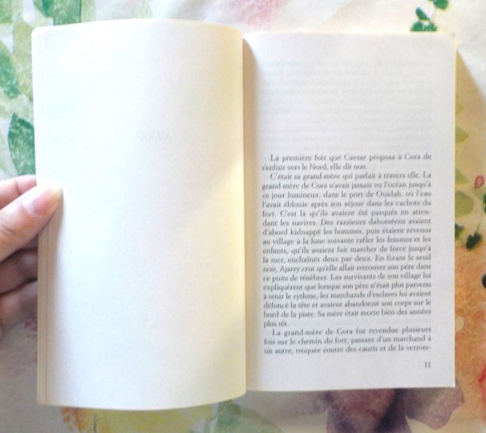 UNDERGROUND RAILROAD de Colson WHITEHEAD Ed. Livre de Poche - photo numéro 6