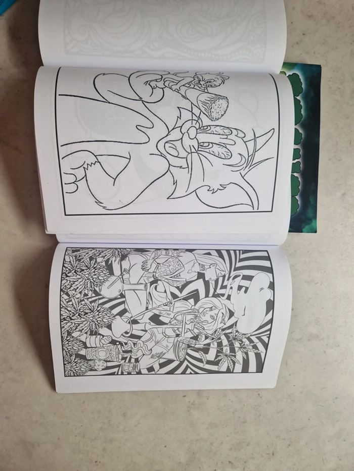 Coloriages pour adulte - photo numéro 6