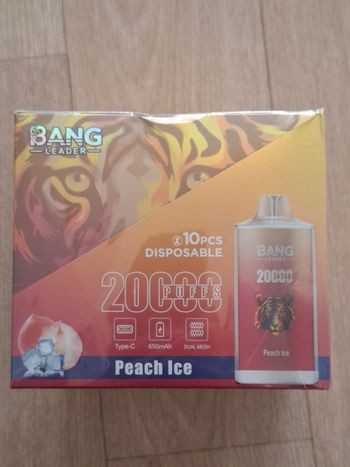 Boite 10 Vape 20 000