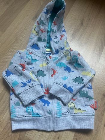 Gilet dinosaure