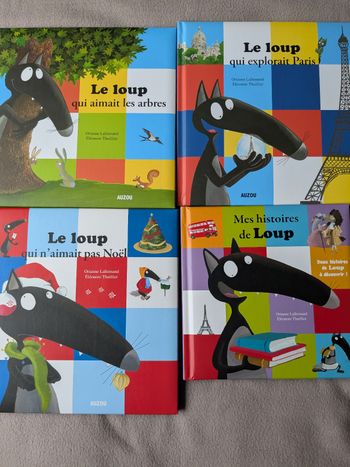 Lot de 4 livres Le Loup Auzou