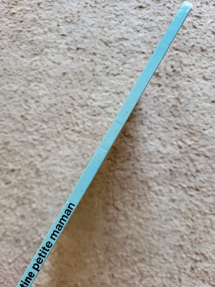 Livre enfant Vintage "Martine petite maman" de Gilbert Delahaye - photo numéro 4