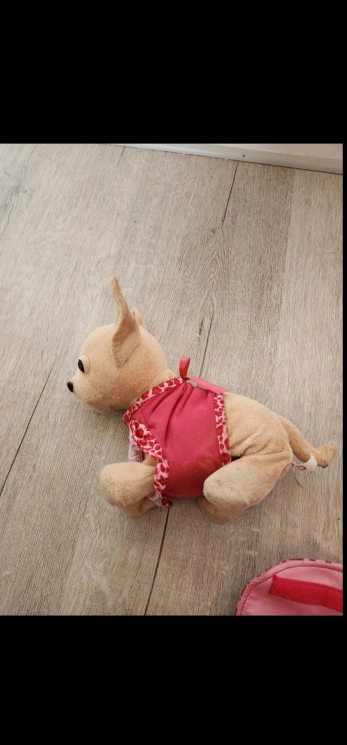 Chien avec sac - photo numéro 2