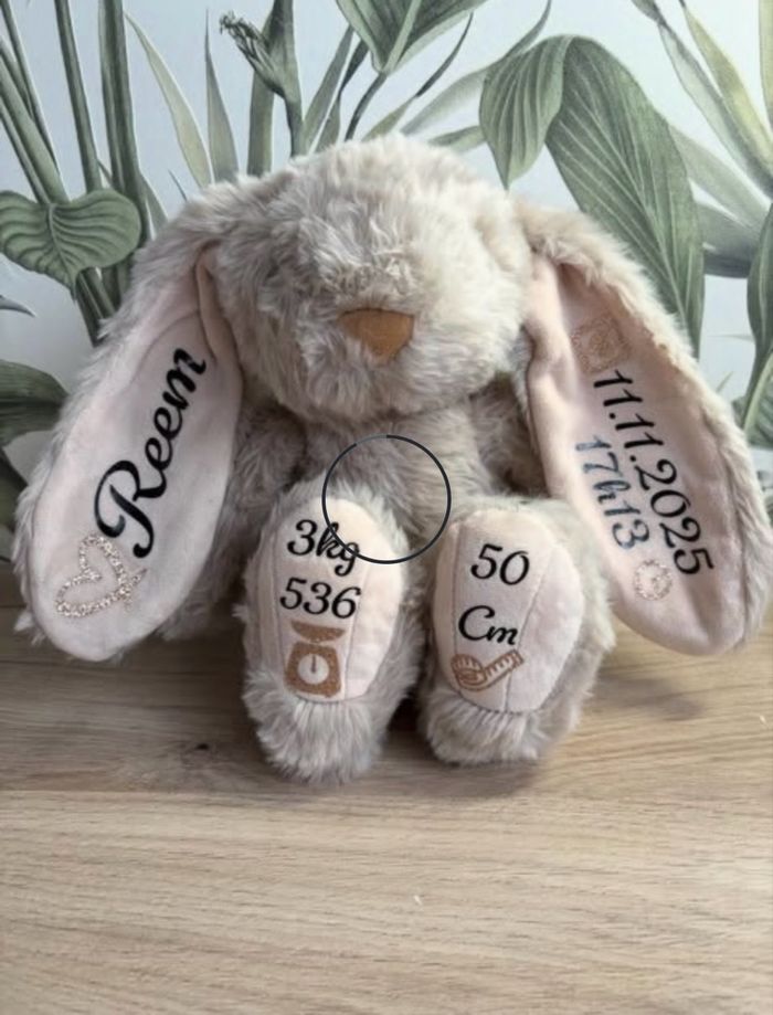 Lapin personnalisé - photo numéro 3