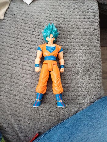 Super saiyan blue goku