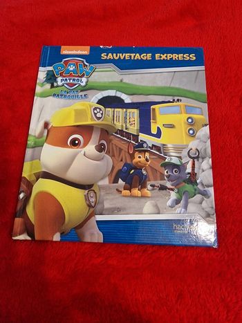 Livre pat patrouille sauvetage express