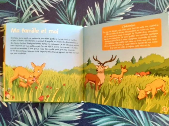 Livre enfant Le cerf, je vis dans la forêt - photo numéro 4