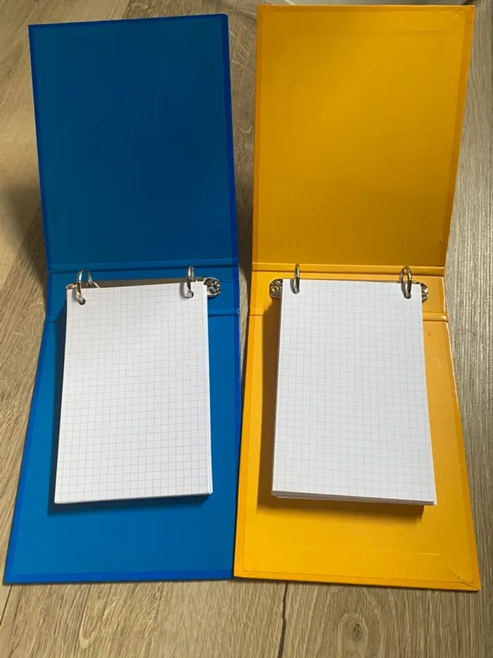 lot de 2 petits classeurs avec fiches bristoles