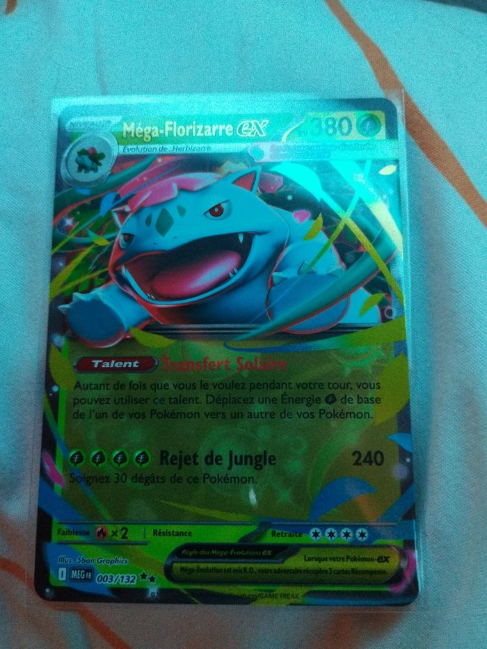 Méga Florizarre Ex 003/132
