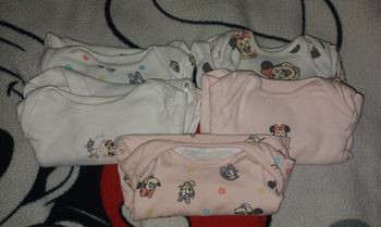 Lot bodys ML minnie