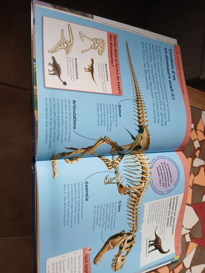 livres sur les dinosaures - photo numéro 3
