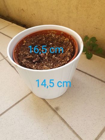 Bac pot fleur plante balcon jardin jardinière