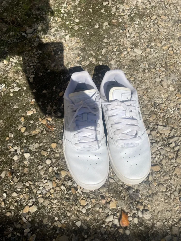 Puma blanches