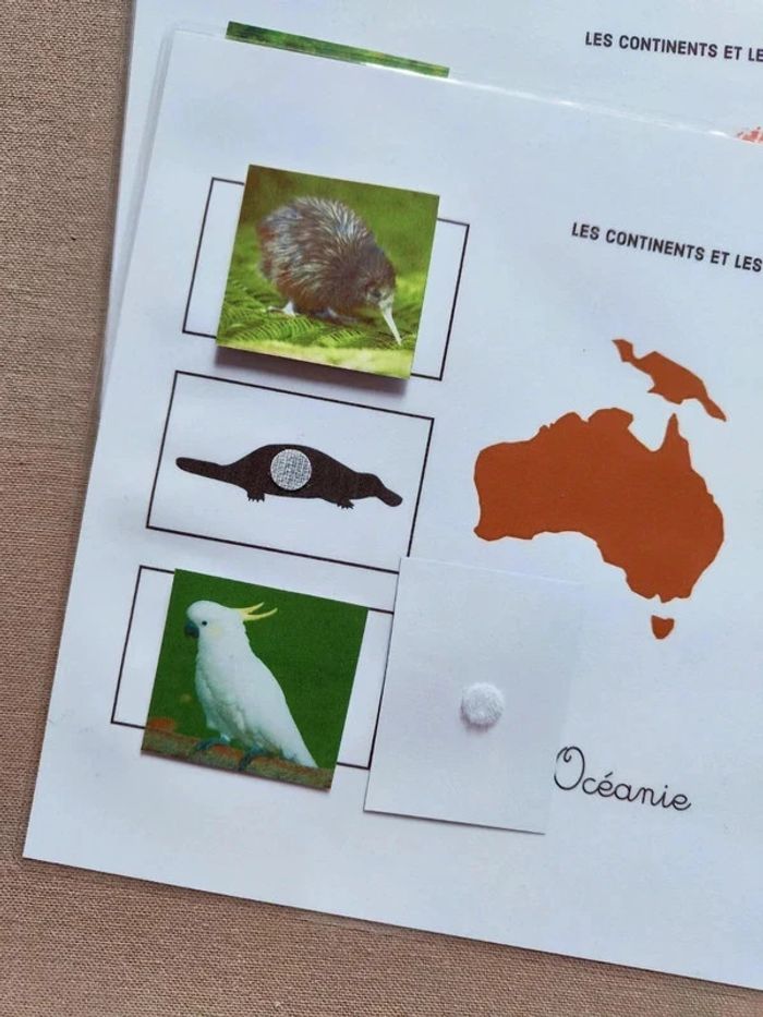 Les 7 continents et ses animaux à scratcher Montessori - photo numéro 7
