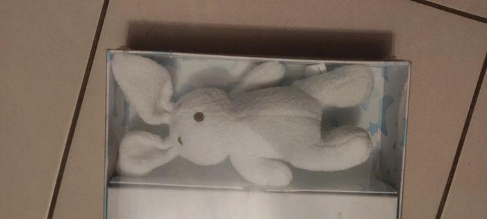 Coffret neuf mon livre de bébé avec peluche doudou lapin - photo numéro 2