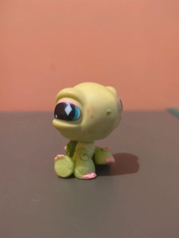 Littlest Petshop Lps Tortue