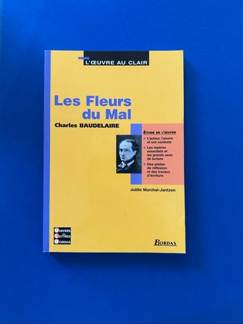 Les fleurs du mal Baudelaire