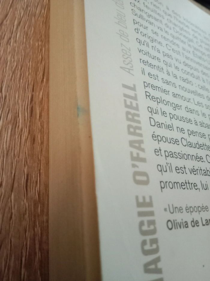 Maggie O'Farrell 🪅 Assez de bleu dans le ciel - photo numéro 3