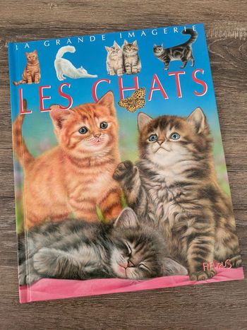 La Grande Imagerie- Les chats