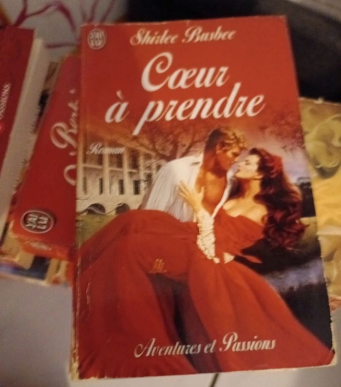 Lot de 30 livres aventure et passion romance historique - photo numéro 2