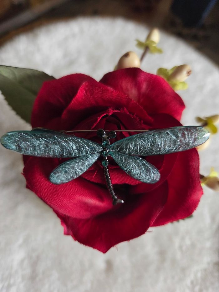 Libellules butineuses multicolores - photo numéro 7