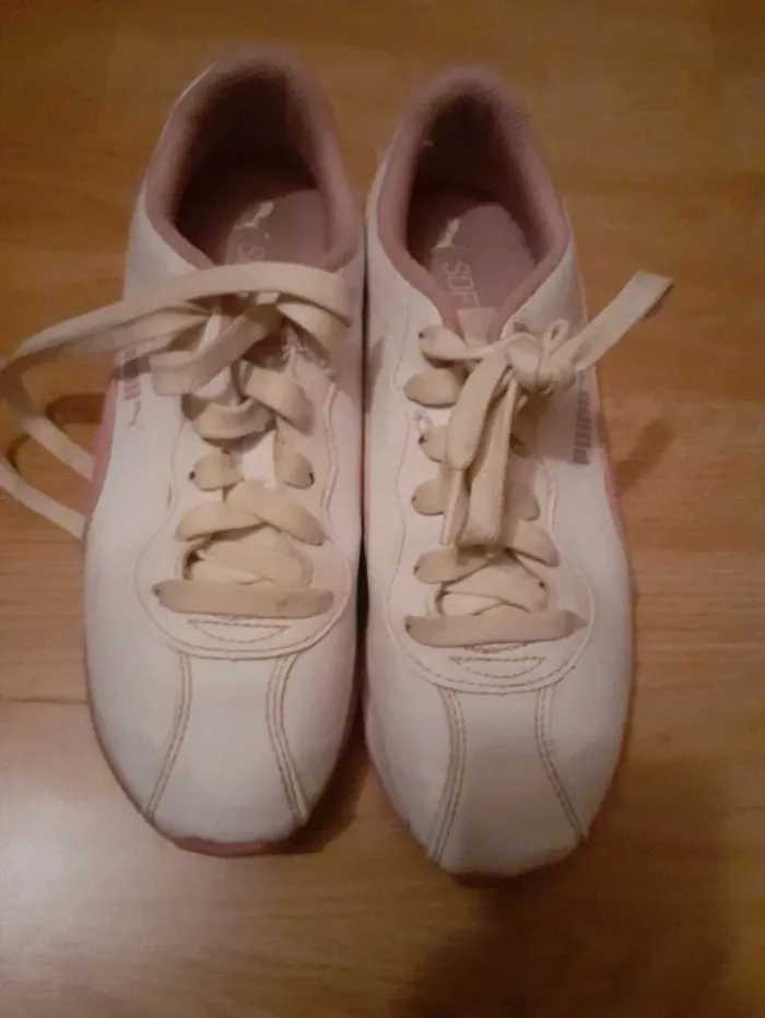 Basket puma