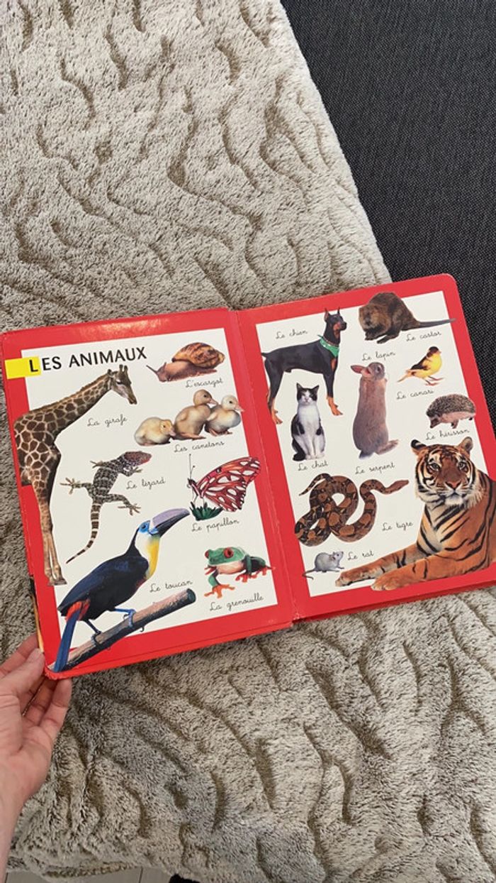 Livre « Mon tour premier imagier » - photo numéro 5