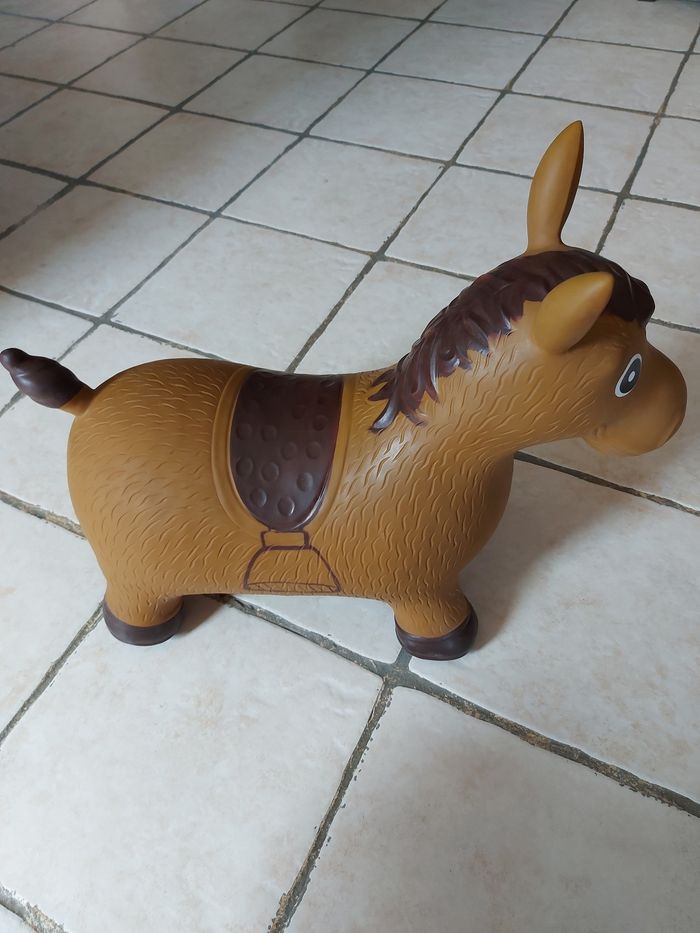 Cheval sauteur - photo numéro 6