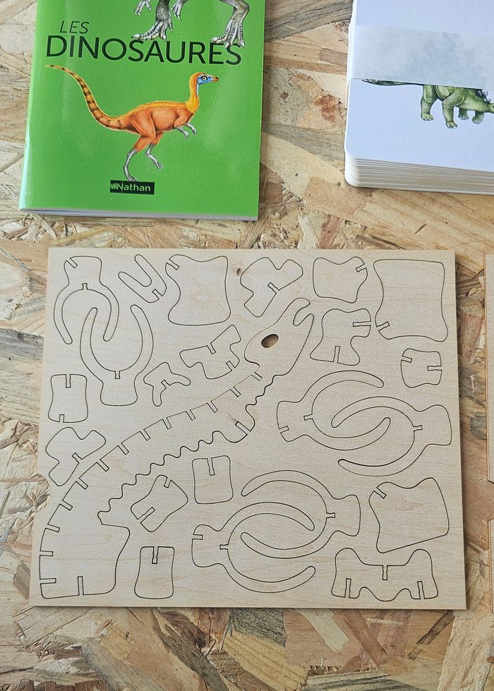 Mon coffret Montessori Dinosaures - photo numéro 8