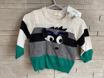 Pull chien