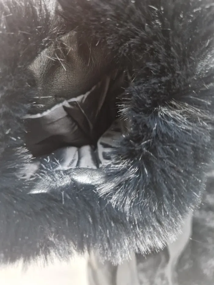 Manteau femmes (M) - photo numéro 4