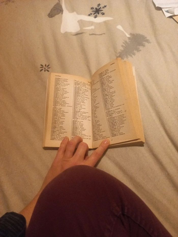 Dictionnaire français italien - photo numéro 2