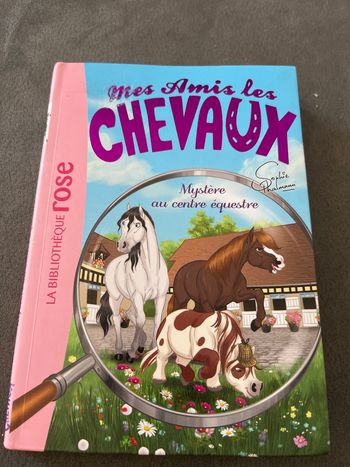 Livre bibliothèque rose mes amis les chevaux tome 12