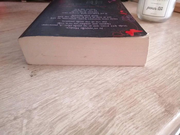 Livre - photo numéro 4