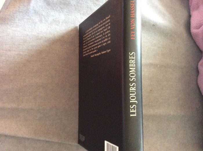 #les jours sombres Fey Von Hassel. V - photo numéro 4