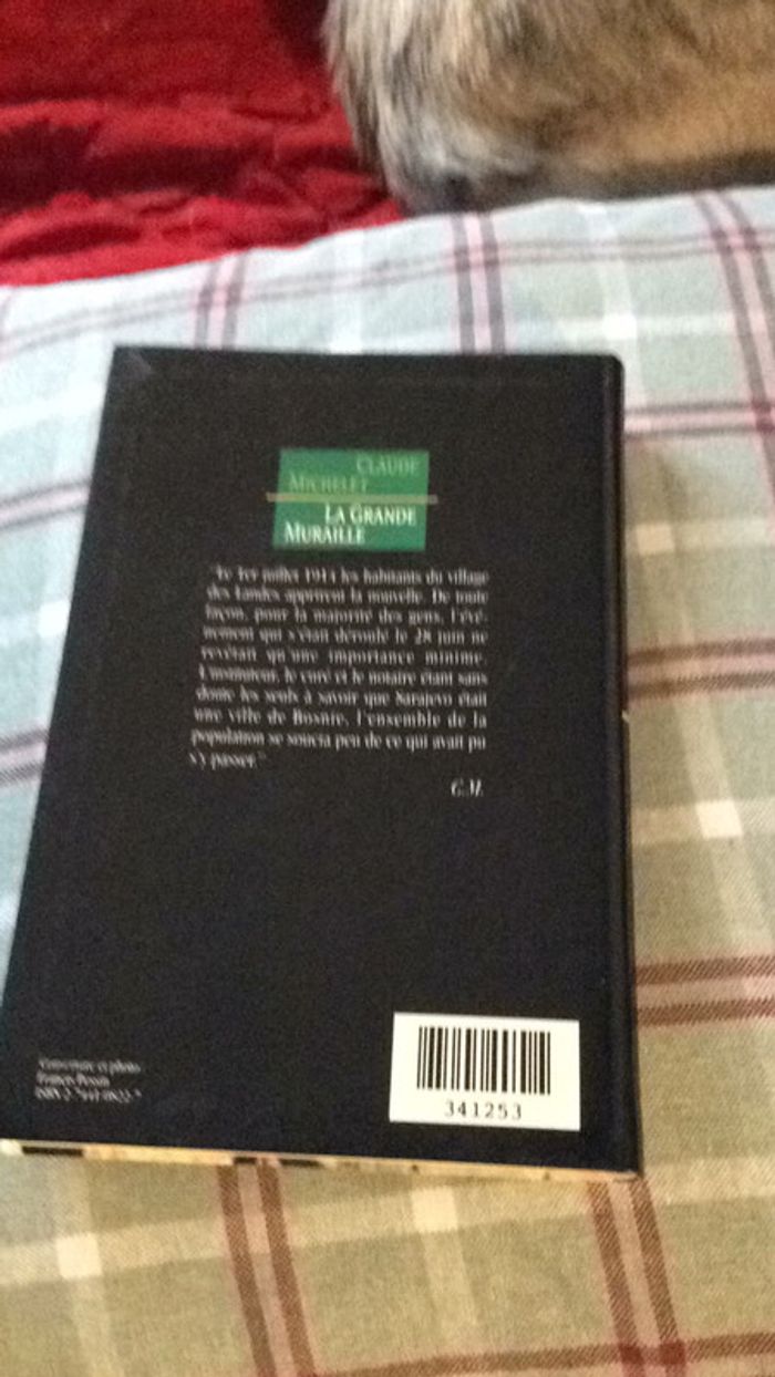 #la grande muraille par Claude Michelet - photo numéro 3
