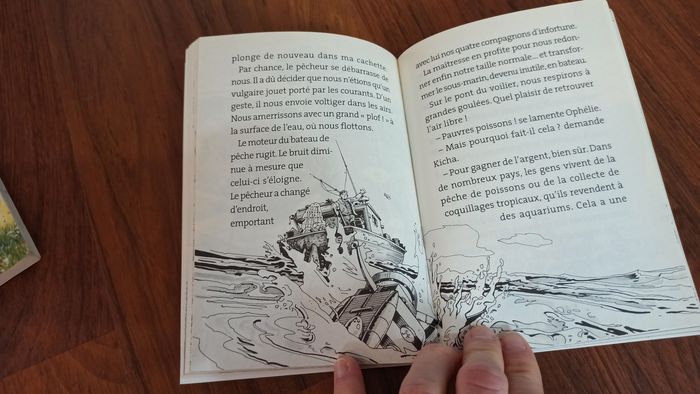 Lot livres enfants petit Nicolas animaux dragon - photo numéro 9