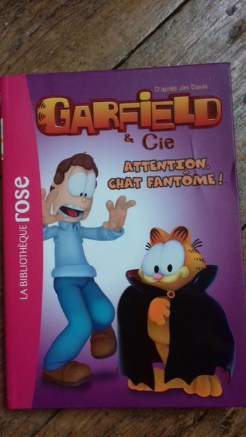 Garfield attention chat fantôme