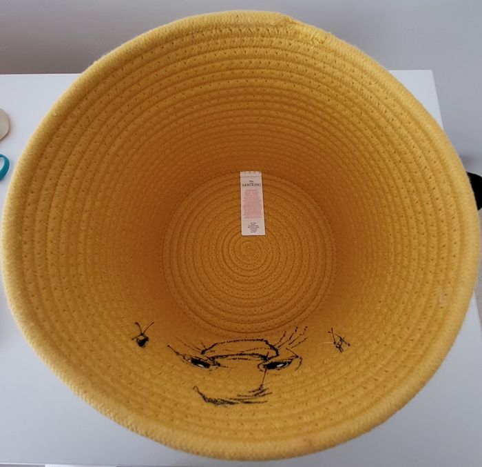 Panier Le Roi Lion - photo numéro 3
