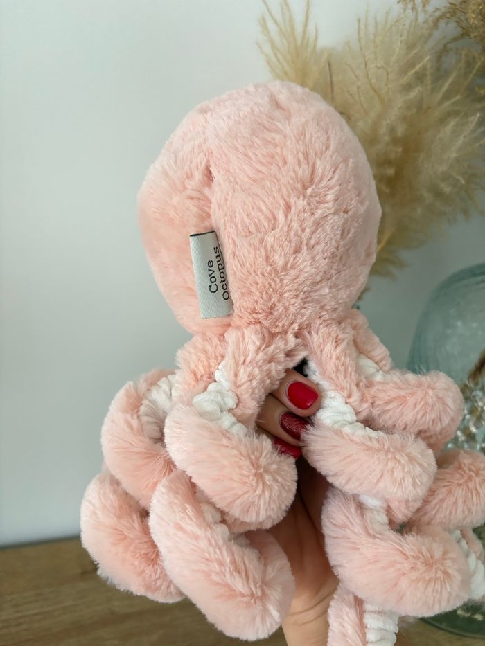 Pieuvre rose des sables - photo numéro 8