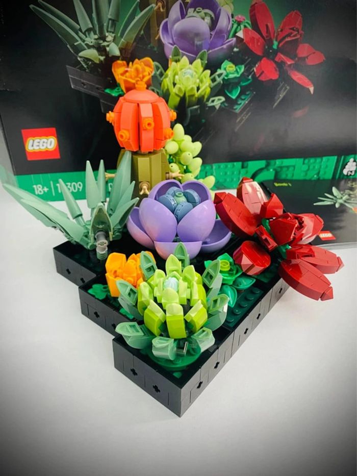 LEGO Icons 10309 - Les Succulents - Complet avec Boîte - photo numéro 9