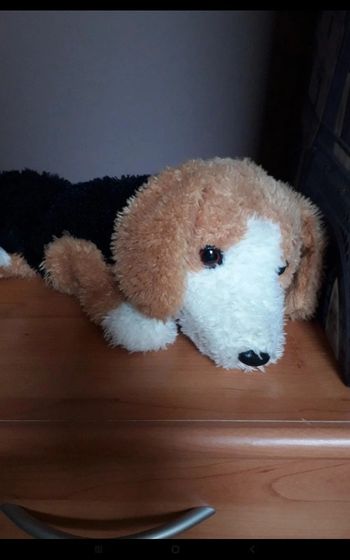 Chien interactif