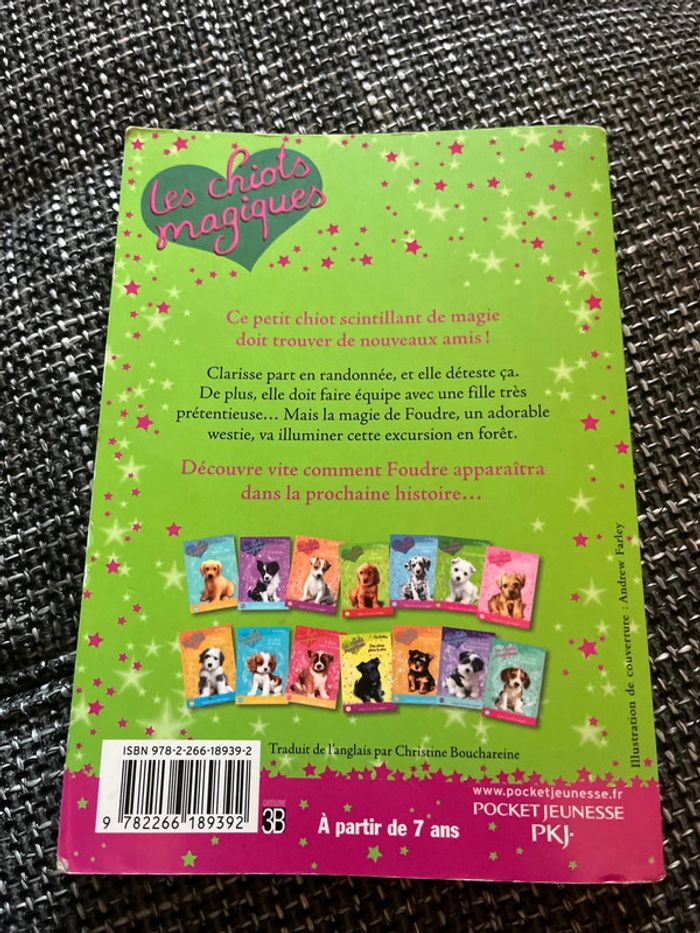 livre « les chiots magiques à la belle étoile » - photo numéro 2