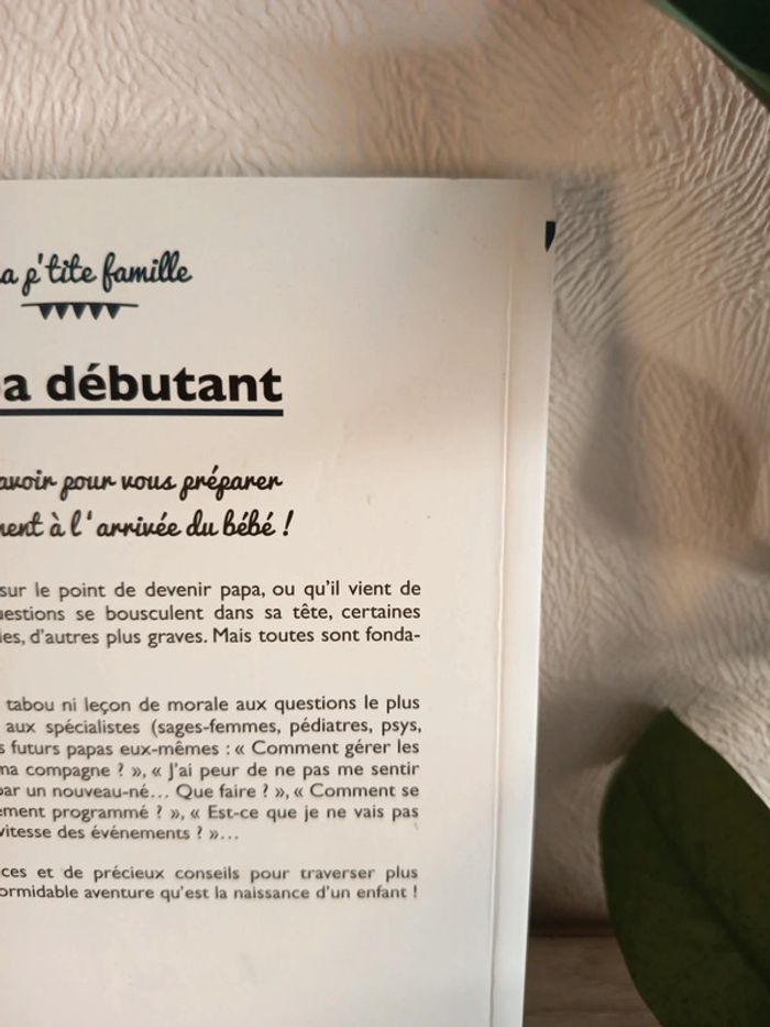 Livre – Papa débutant (Ma p’tite famille – First Éditions) - photo numéro 5