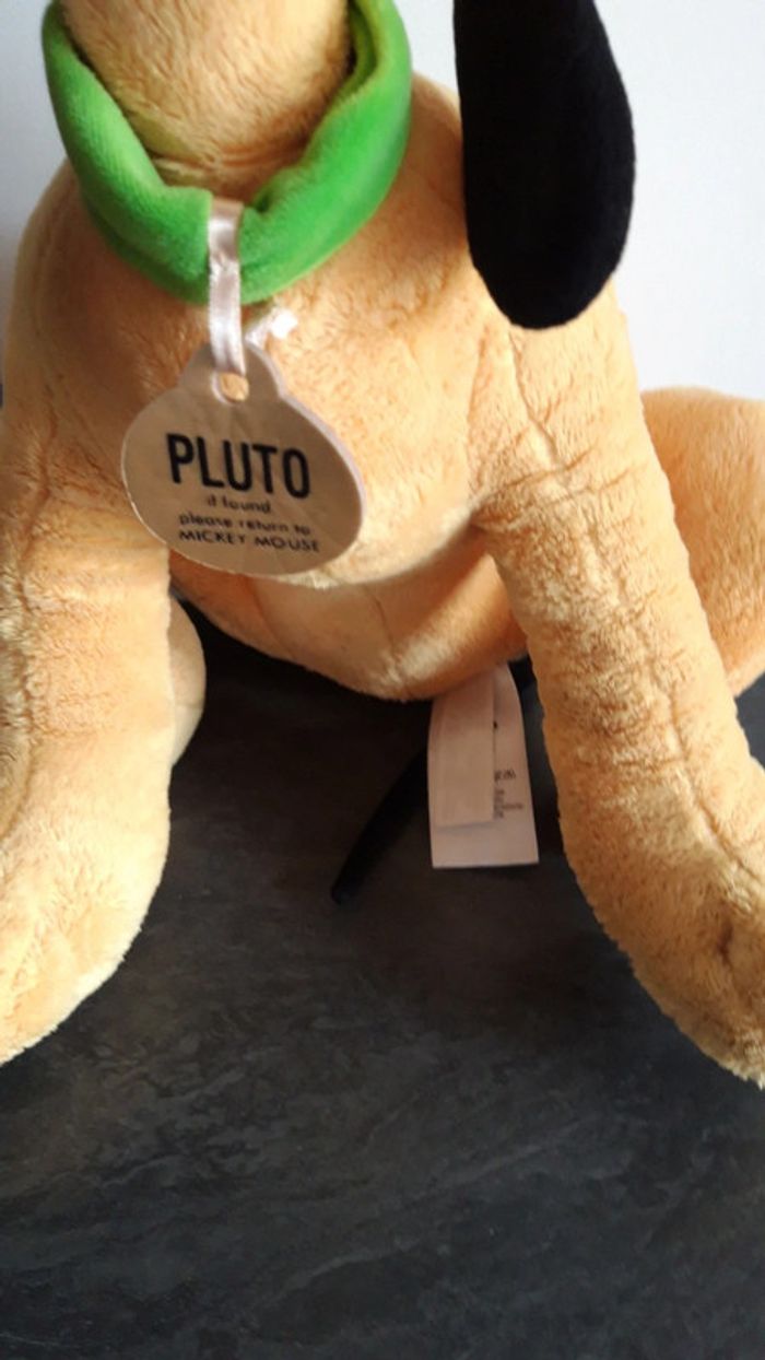 Pluto - photo numéro 3