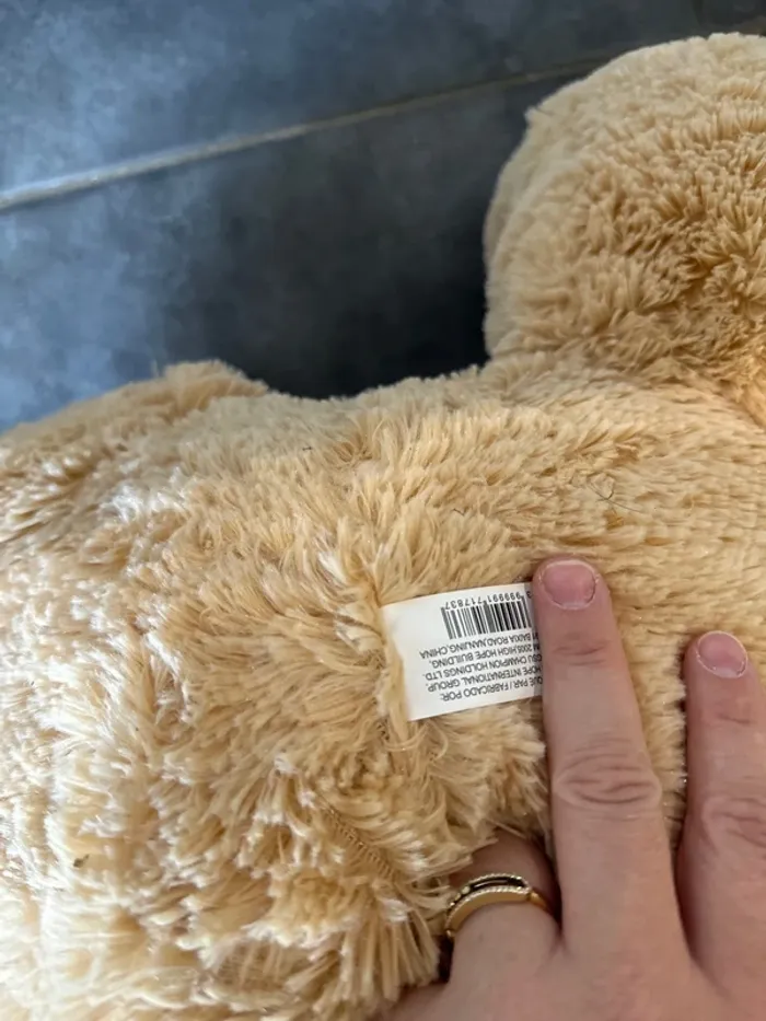 Peluche nounours - photo numéro 10
