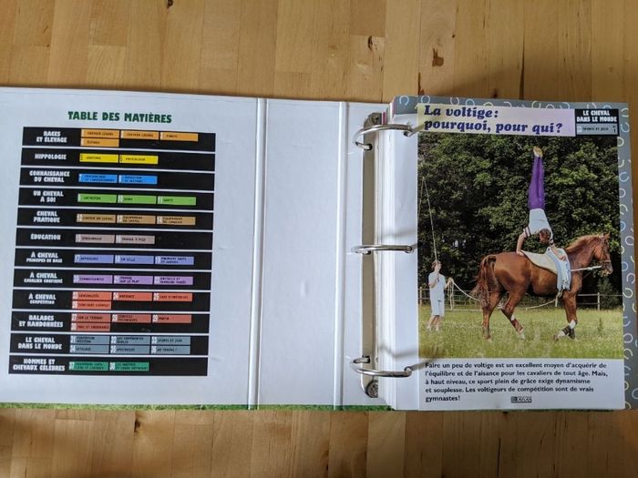 Lot livres et fiches cheval/équitation - photo numéro 4