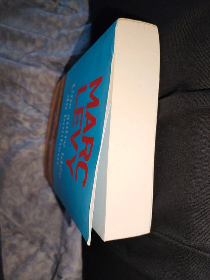 Livre une autre idée du bonheur - photo numéro 4