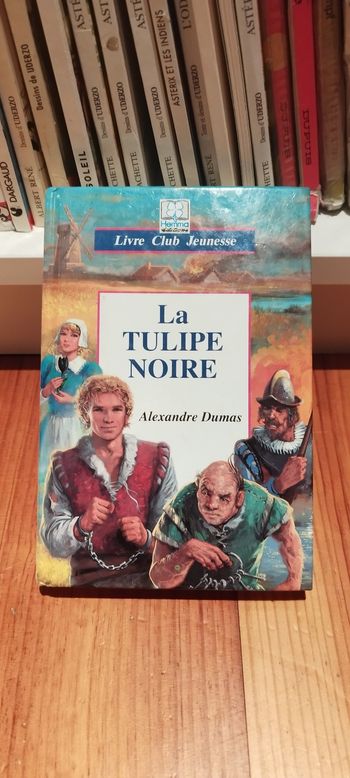 Livre vintage La tulipe noire